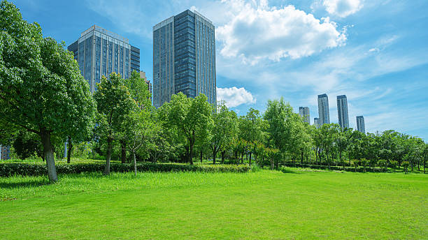 istock Green grass field in modern urban park 2226727981