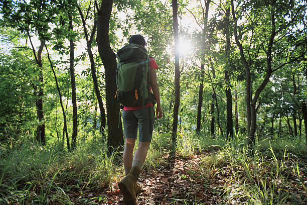 istock Woman hiker hiking on forest trail 2226729186