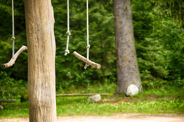 Wooden swings made of branches tied with rope are attached to a tree in a serene woodland area. The natural surroundings convey tranquility, simplicity, and an essence of outdoor adventure.