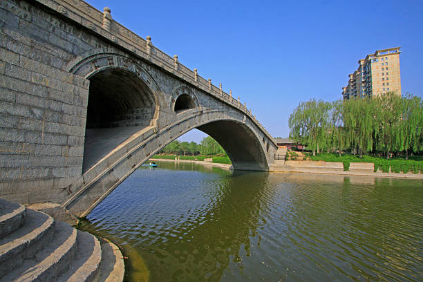 This evocative black and white photograph captures a serene traditional Chinese garden scene, featuring an elegant arched stone bridge spanning a calm canal, framed by intertwining tree branches forming a natural canopy overhead. The mirror-like reflections in the water and subtle mist enhance the tranquil, timeless atmosphere, evoking Eastern harmony and cultural heritage. Ideal for travel inspiration, zen wellness visuals, historical illustrations, or atmospheric editorial in advertising, books, or digital media projects.