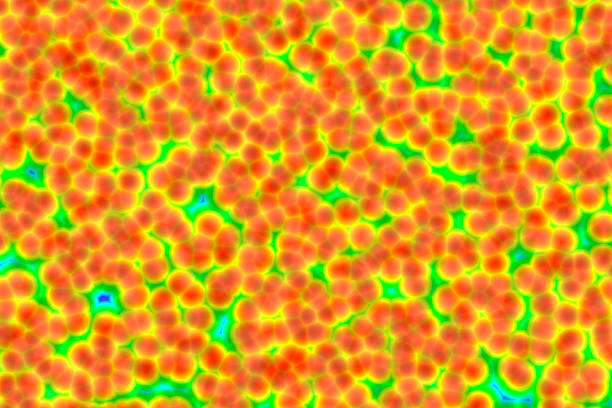 closeup of photo, computer generated images