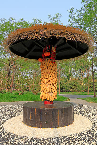 Traditional pavilion building landscape
