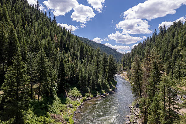 Rural Drone in Spring of Payette River