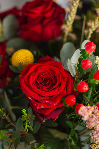 istock Red rose flower bouquet in bloom detail 2226740820