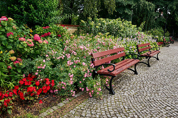 Row of benches sits on a cobblestone path next to a garden. The benches are wooden and are placed in a row, with one bench on the left side of the path and the other on the right
