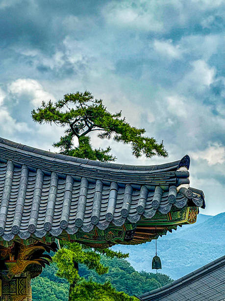 Temple Roof with Wind Bell and Pine Tree in Korea