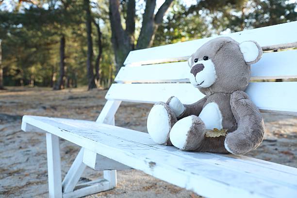 istock Lonely teddy bear on bench in park 2226756334