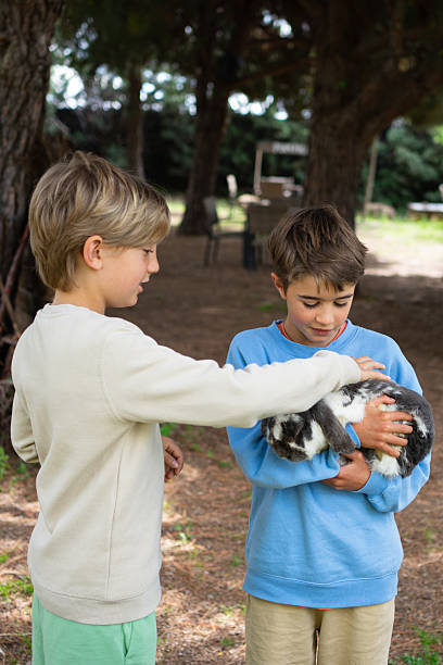 istock Two brothers are petting a rabbit in a forest 2226757210