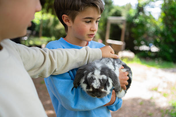 istock Children petting a cute rabbit in a farm 2226757223