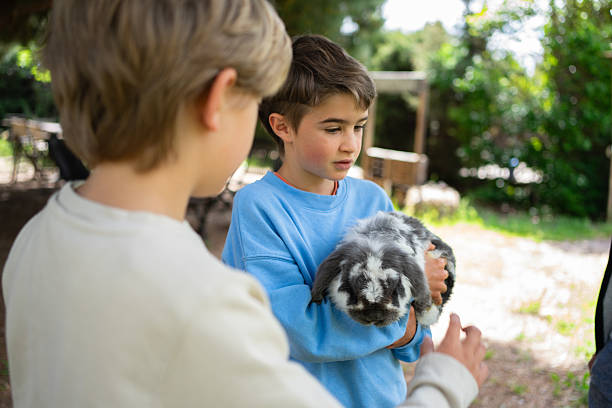 istock Children learning about animals by holding a rabbit 2226757392