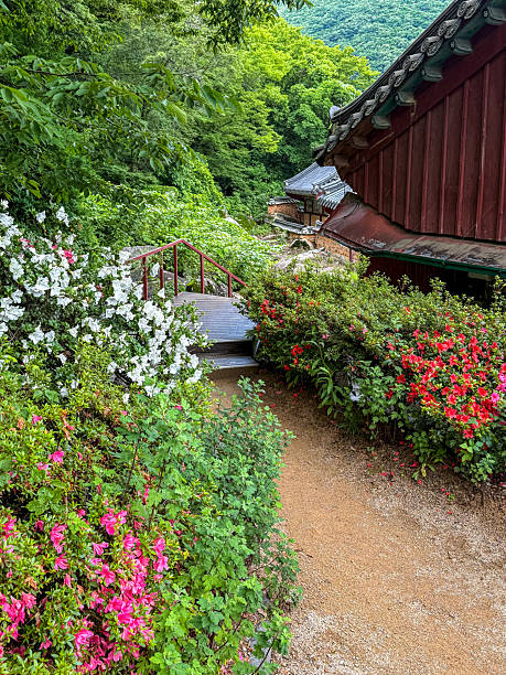 istock Tranquil Garden Path at a Korean Temple 2226758635