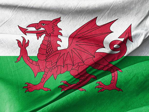 istock Welsh flag proudly displayed on a green hillside, featuring the iconic red dragon emblem against a white background 2226758855