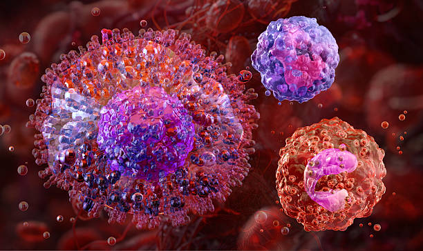 istock Human immune cells: mast cell, basophil, eosinophil, involved in allergic reactions and inflammation. 2226759250
