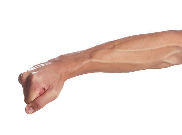 istock Man with bulging veins on his arm against white background, closeup 2226762005