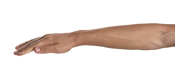 istock Man with bulging veins on his arm against white background, closeup 2226762012