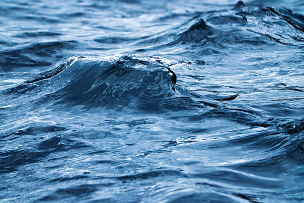 Waves in the North Sea near the Farne Islands