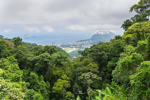 istock Rio de Janeiro, Brazil 2226765291