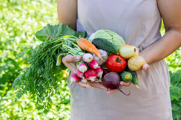 istock Hands Holding Fresh Organic Garden Vegetables 2226778415