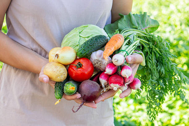 istock Hands Holding Fresh Organic Garden Vegetables 2226778430