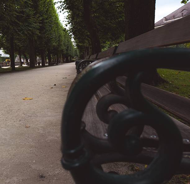 Close-up of a park bench surrounded by lush green trees in an alley