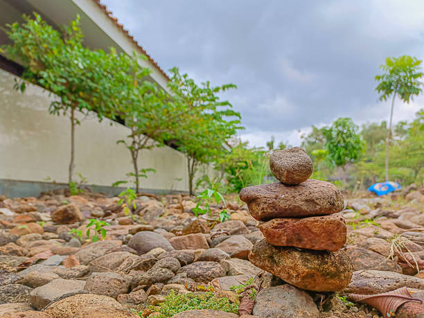 Stacked rocks on dry ground near young trees under cloudy sky