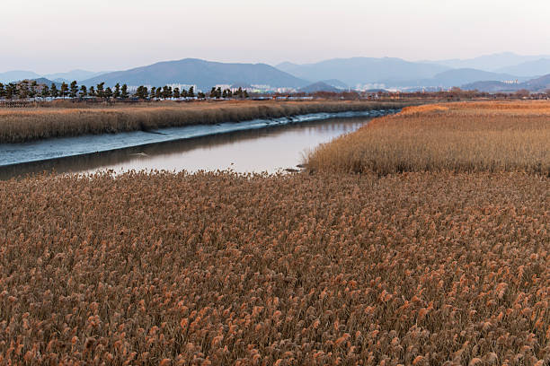 tranquil landscape