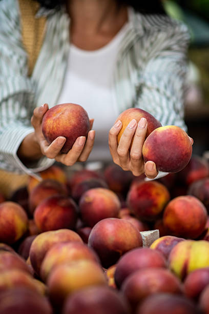 Close-up of hands holding fresh peaches