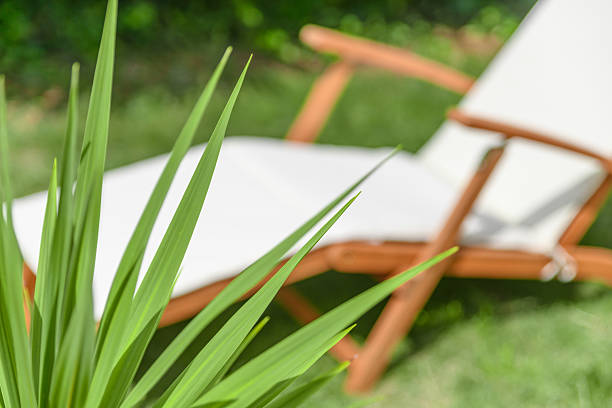 Sun lounger in a garden behind a cordyline palm