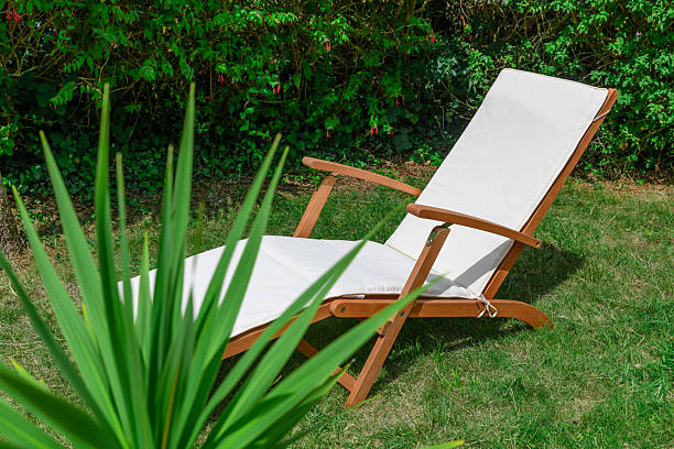 istock Sun lounger in a garden behind a palm 2226791135