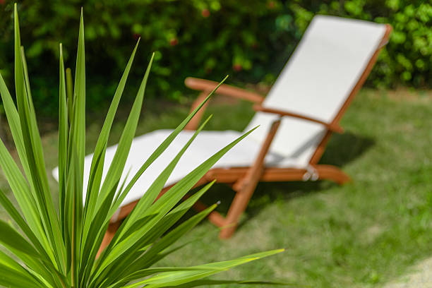 Sun lounger in a garden