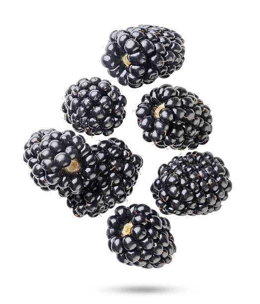 istock Ripe blackberries flying on a white background. Isolated 2226792226