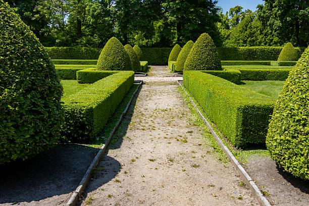 Path in the park with decorative trees and hedges