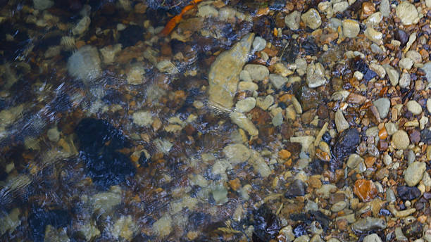 istock Clear Stream Water Flowing Over Colorful Riverbed Stones 2226798021