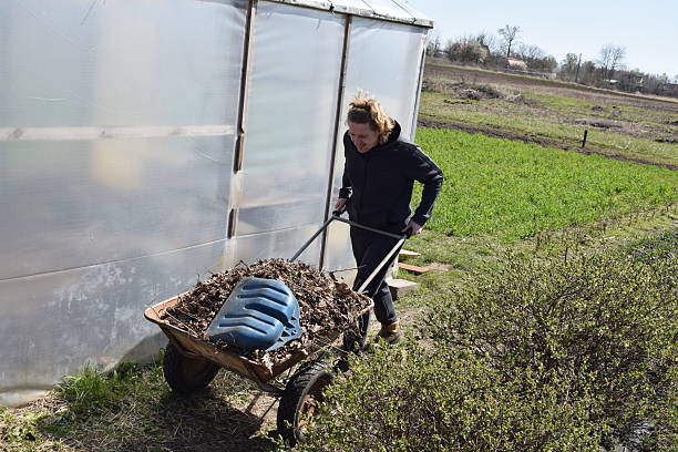 Young man engaged in household chores and small-scale rural farming, tending to his garden with care and dedication. His daily routine reflects a sustainable and self-sufficient way of life