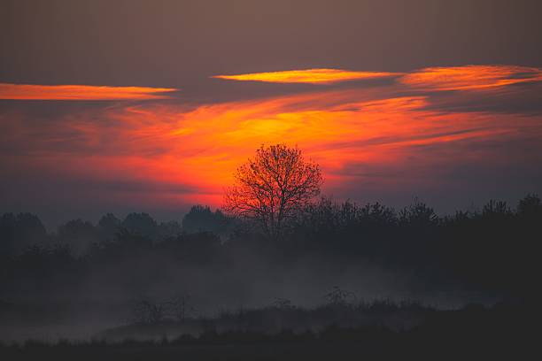 A serene sunset over a misty landscape with silhouetted trees and vibrant orange sky.