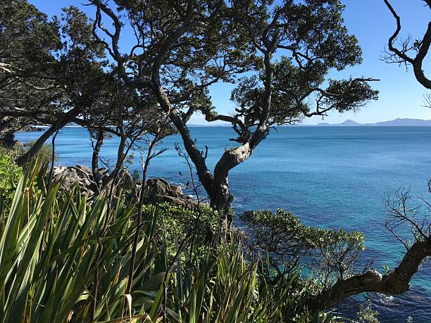 istock Waipu Coastal Walkway 2226801679