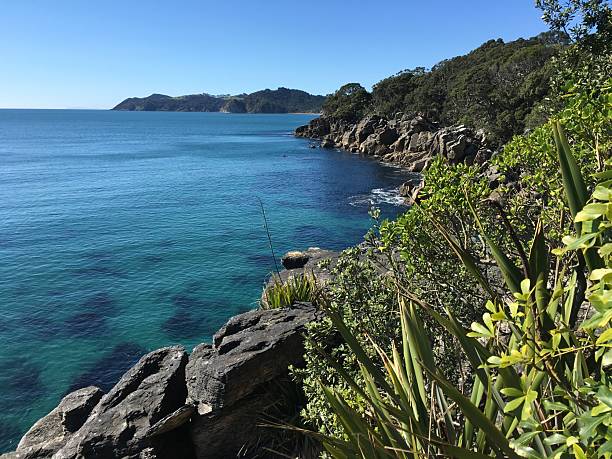 istock Waipu Coastal Walkway 2226801690
