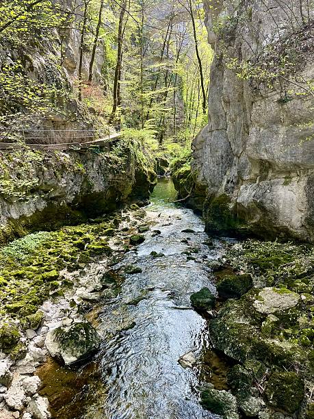 Taubenloch (Gorges du Taubenloch) is a gorge in the Canton of Bern, above Biel/Bienne in Switzerland. It crosses the first Jura Mountain chain, as considered from the Swiss Plateau.