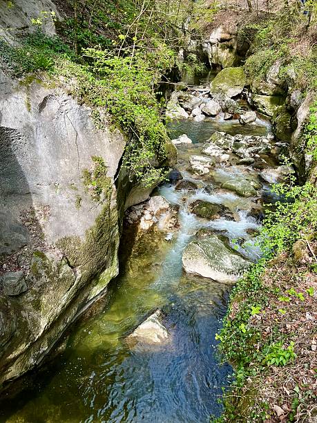 Taubenloch (Gorges du Taubenloch) is a gorge in the Canton of Bern, above Biel/Bienne in Switzerland. It crosses the first Jura Mountain chain, as considered from the Swiss Plateau.