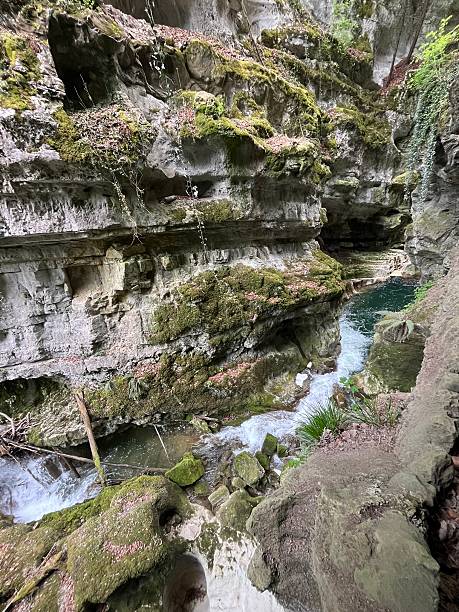 istock Switzerland- Taubenloch Gorge - walk 2226802289