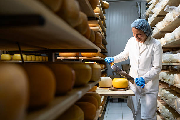 istock Cheesemaker or dairy worker checking quality of cheese in large cheese aging room. 2226802297