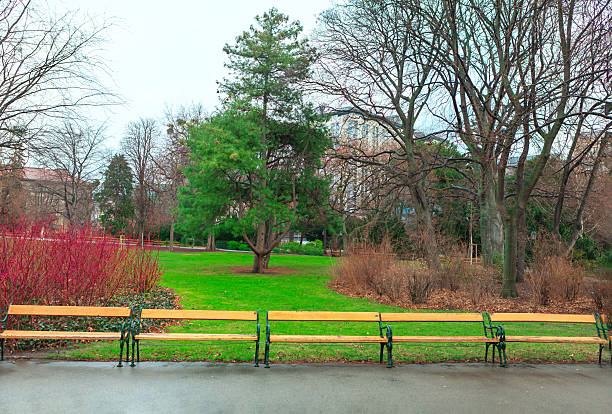 Wooden bench in park gardens with green lawn and flowers in sunny summer day