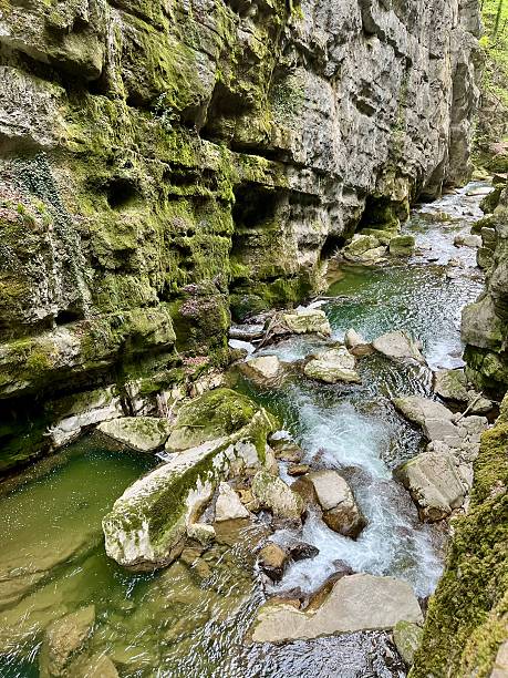 Taubenloch (Gorges du Taubenloch) is a gorge in the Canton of Bern, above Biel/Bienne in Switzerland. It crosses the first Jura Mountain chain, as considered from the Swiss Plateau.