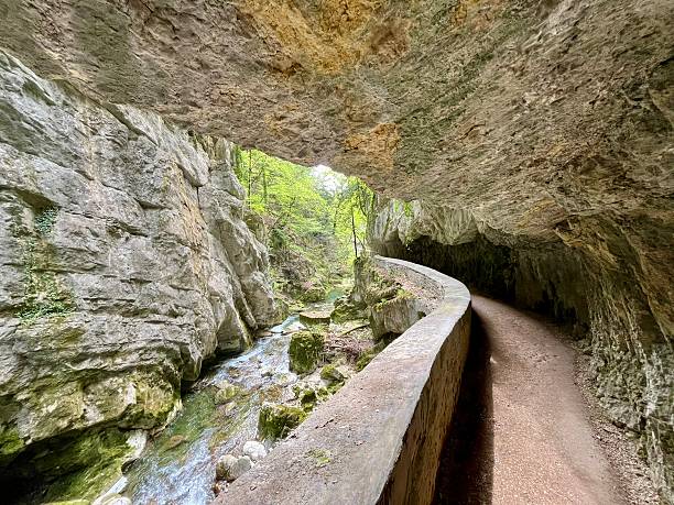 istock Switzerland- Taubenloch Gorge - walk 2226803362