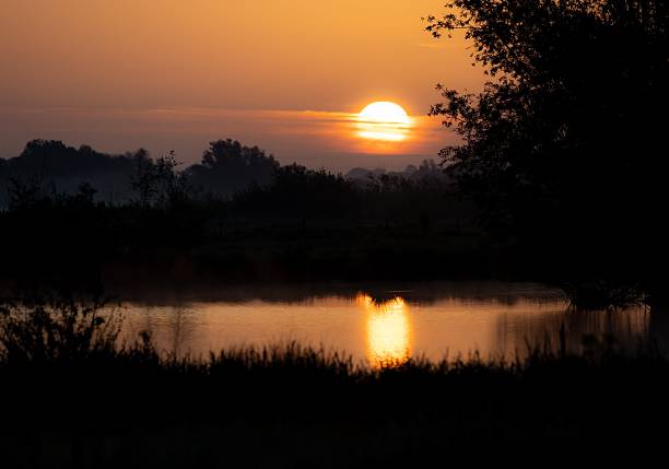 A serene sunrise over a tranquil lake with silhouetted trees reflecting on the water, creating a peaceful natural scene.