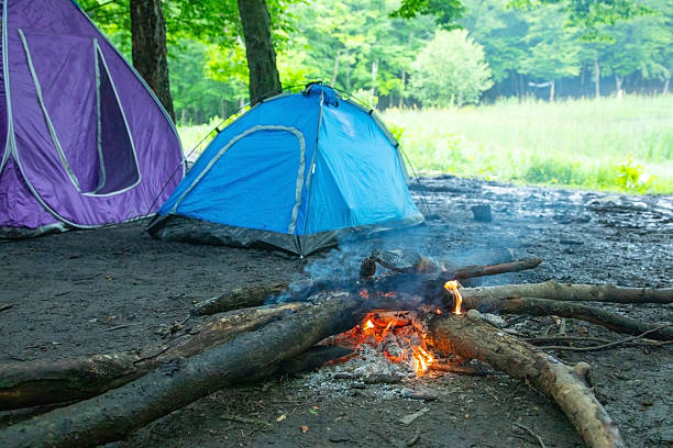 istock Campfire in the forest. Armenia 2226805206