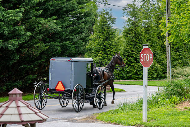 istock Horse-drawn Carriage Passing a Stop Sign in a Rural Setting During Daytime 2226805951