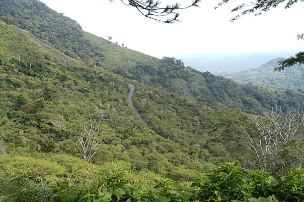 Vegetation landscape with mountains in the Aceh