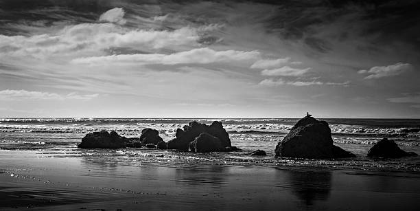 istock Sumner Beach views. Port Hills Pacific Ocean views. Canterbury, NZ 2226806988