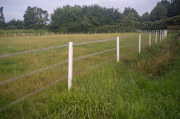 White fence stretches across green fields, separating grassy areas under a cloudy sky, creating a serene rural landscape